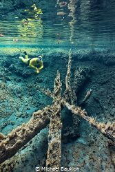 Snorkeling in a freshwater spring by Michael Baukloh 